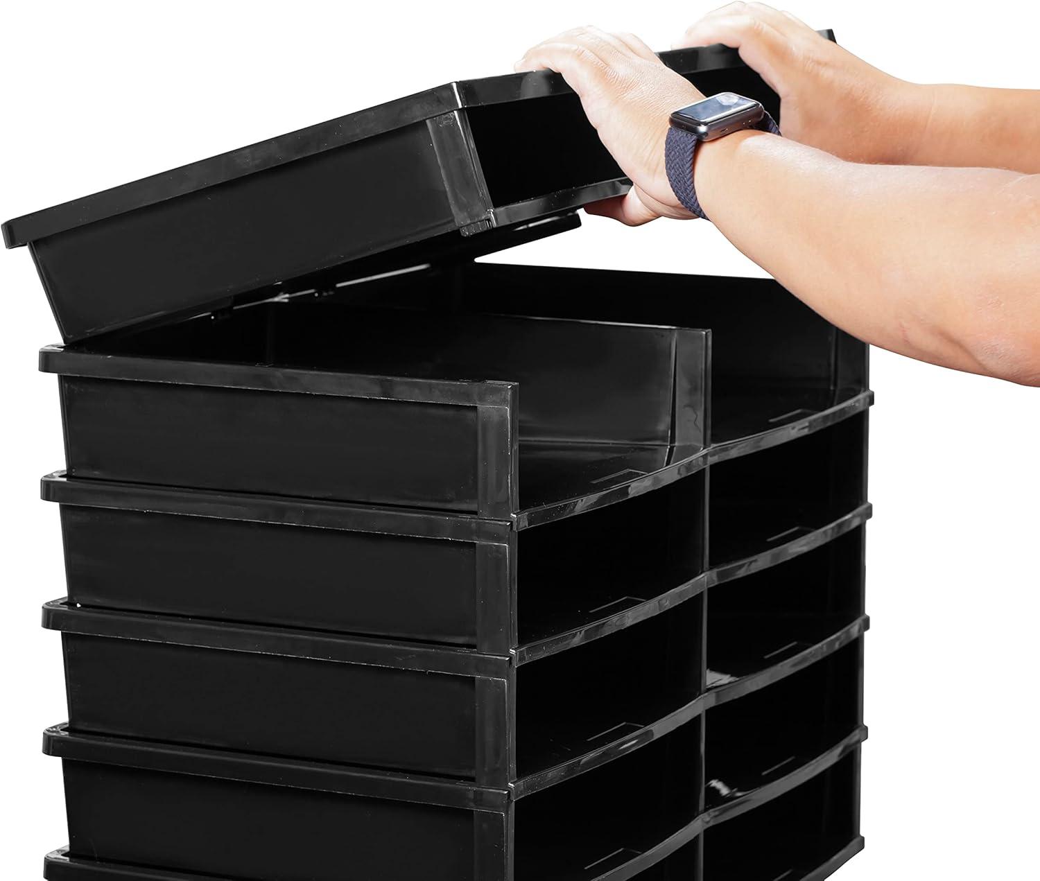 imageStorex 12 Compartment Organizer