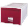 Frosted/Ruby Red