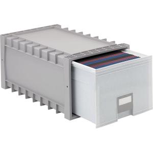 Storex 24-Inch Archive Storage Box for Letter Size Hanging Files, Two-Tone Grey (61101U01C)