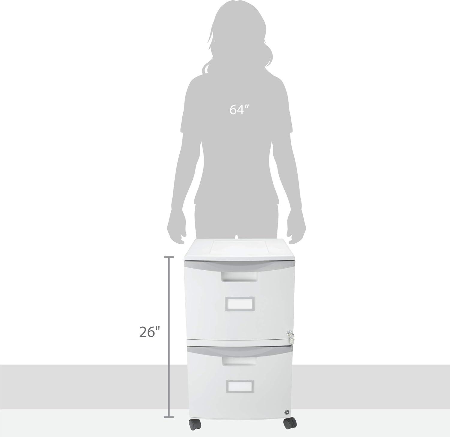 imageStorex Plastic TwoDrawer File Cabinet Locking Document Organizer with Casters for Home and Office Gray 1Pack 61310B01C