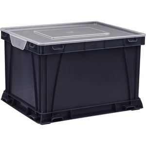 Storex Storage and Filing Cube, 17.25 x 10.5 x 14.25 Inches, Red/Clear (62002A03C)(Black/Clear)