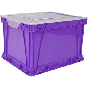 Storex Storage and Filing Cube, 17.25 x 10.5 x 14.25 Inches, Red/Clear (62002A03C)(Violet/Clear)